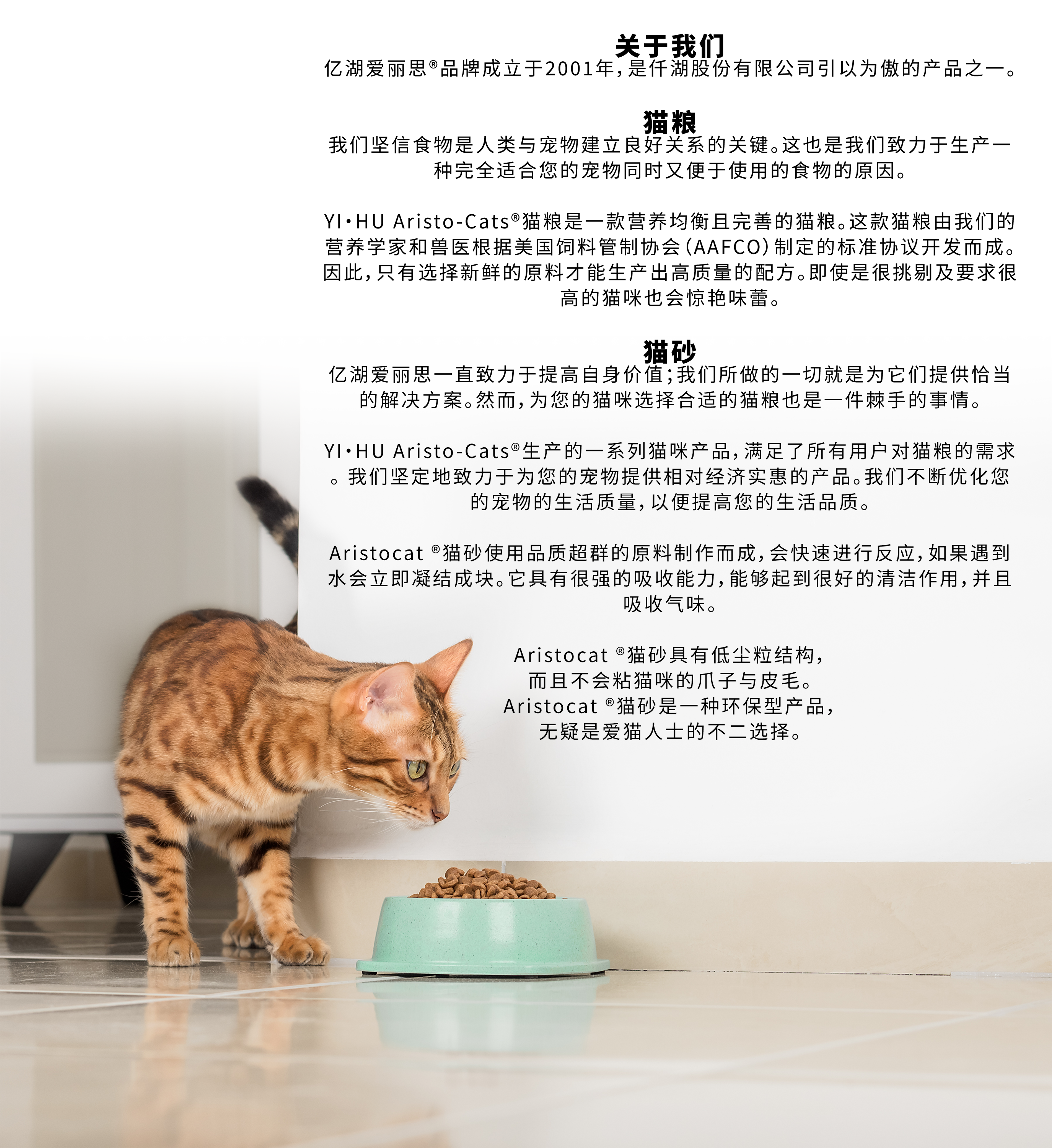 About Us-Chi.png